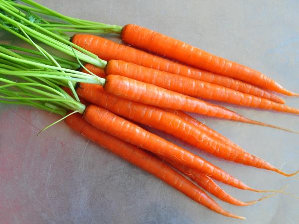 Rundum gesund Wo Carotine vorkommen und was sie so wertvoll macht