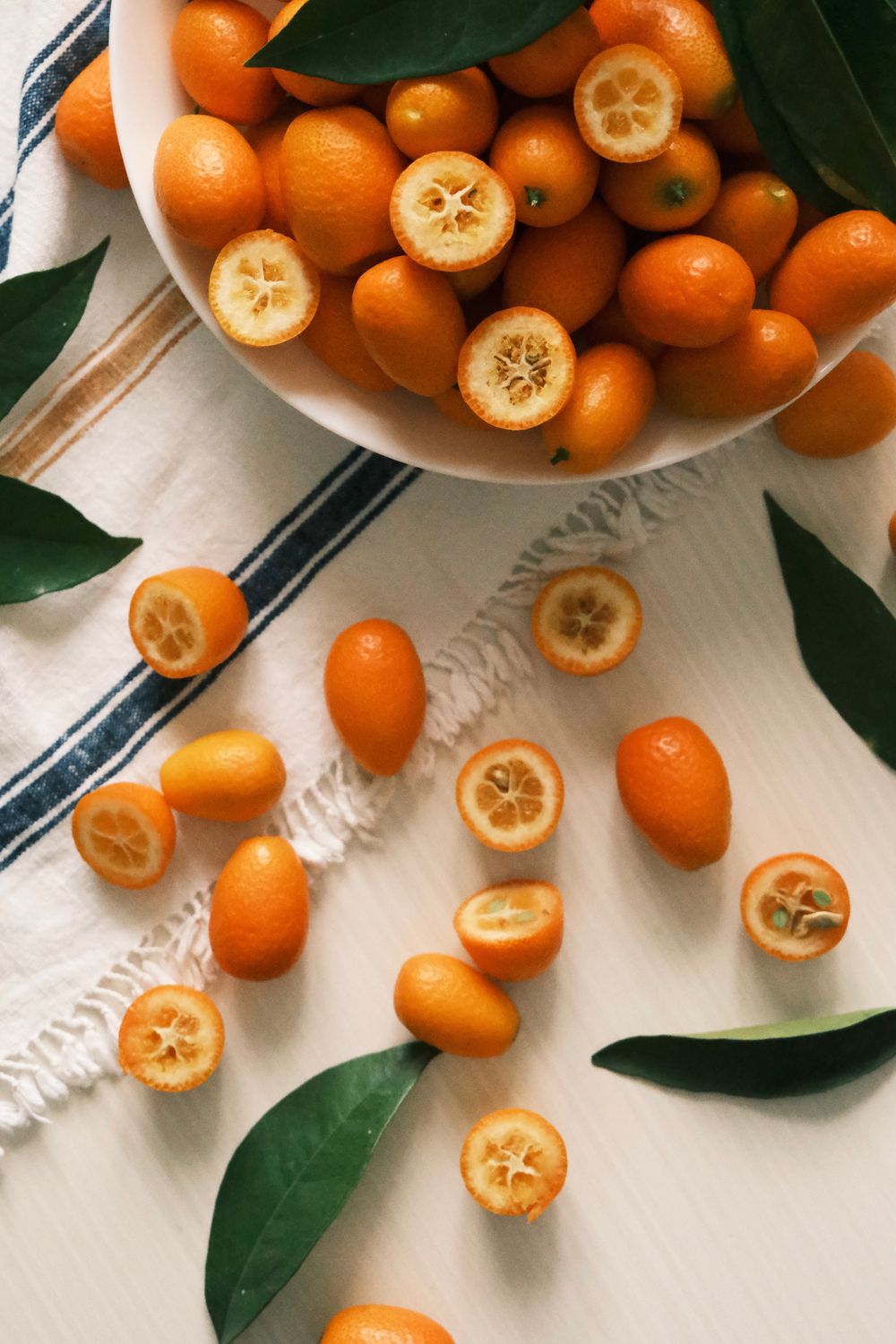 Kumquat: Die kleine Frucht mit dem größten Vitamin-Schatz der Pflanzenwelt – ganz einfach auf dem eigenen Balkon